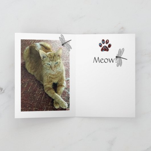 挨拶状猫 カード (内部)