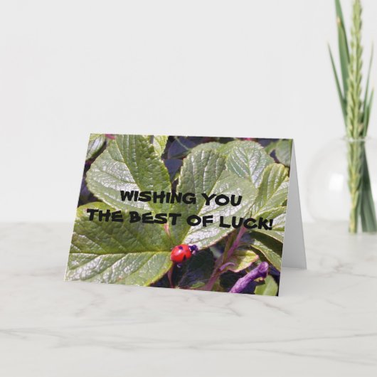 挨拶状2歳のてんとう虫の カード (正面)