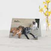 挨拶状: ここにいたことをこんにちはまたは望んで下さい カード (黄色い花)