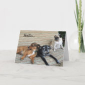 挨拶状: ここにいたことをこんにちはまたは望んで下さい カード (正面)