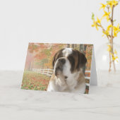 挨拶状 カード (黄色い花)