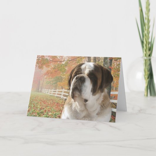 挨拶状 カード (正面)