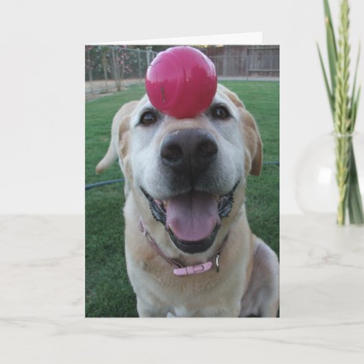 挨拶状 カード (正面)