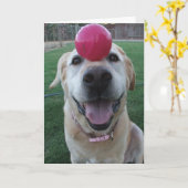 挨拶状 カード (黄色い花)