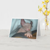 挨拶状 カード (黄色い花)