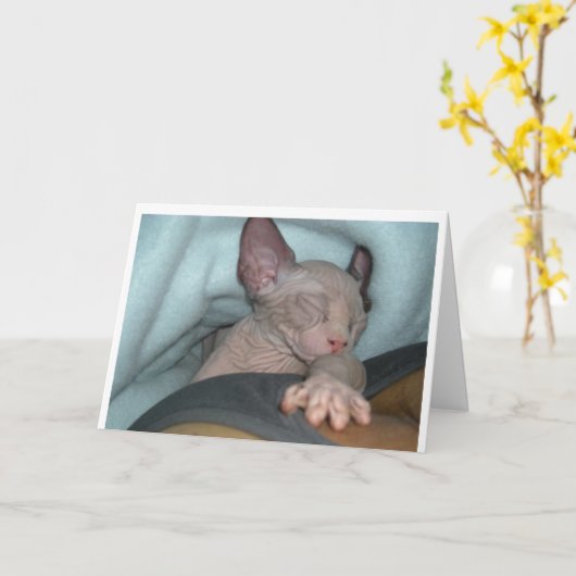 挨拶状 カード (黄色い花)