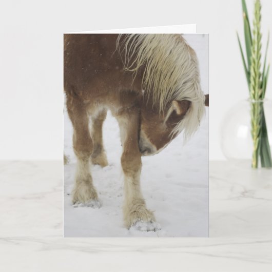 挨拶状 カード (正面)