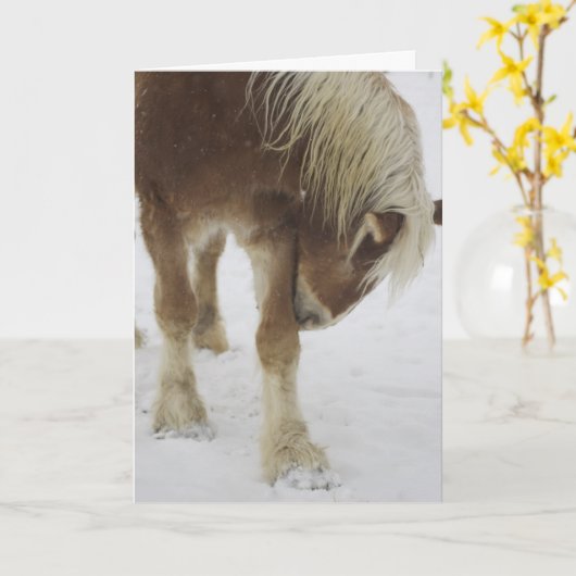 挨拶状 カード (黄色い花)