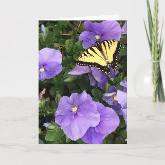 挨拶状 カード (正面)