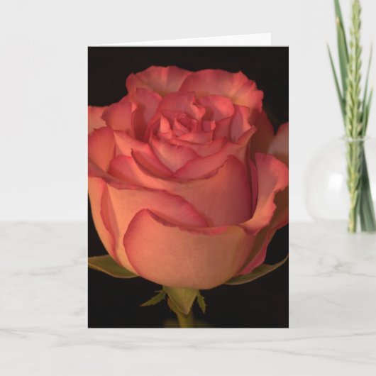 挨拶状 カード (正面)