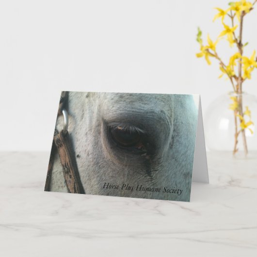 挨拶状 カード (黄色い花)