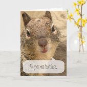 挨拶状-スピーチの泡を持つリス カード (黄色い花)