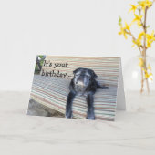 挨拶状: ハッピーバースデーか終わりあなたの目 カード (黄色い花)