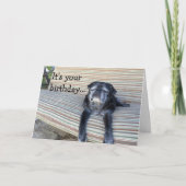 挨拶状: ハッピーバースデーか終わりあなたの目 カード (正面)