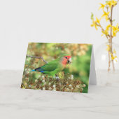 挨拶状-バラ色顔の仲の良い恋人同士 カード (黄色い花)