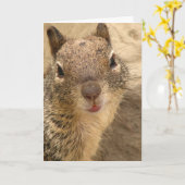 挨拶状-リス カード (黄色い花)