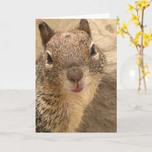 挨拶状-リス カード (黄色い花)