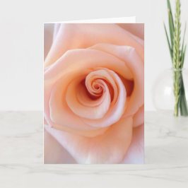 挨拶状、中ブランク カード