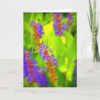 挨拶状-中ブランク カード