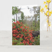 挨拶状-珊瑚のクリーパー カード (黄色い花)