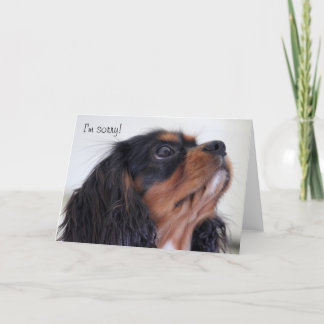 挨拶状-私は残念です カード