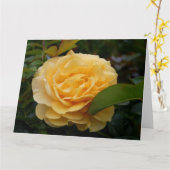 挨拶状:  黄色いツバキ カード (黄色い花)