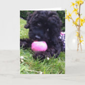 挨拶状- Cockapooの子犬 カード (黄色い花)