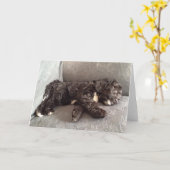 挨拶状- Cockapooの子犬 カード (黄色い花)