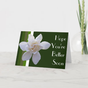 挨拶状- Gardeniaはの縞で飾ります カード
