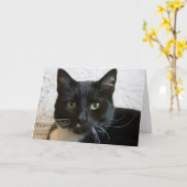 挨拶状: Lilly カード (黄色い花)