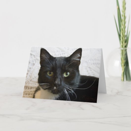 挨拶状: Lilly カード (正面)