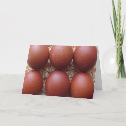 挨拶状- Maransの鶏の卵 カード (正面)
