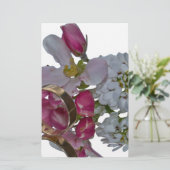 挨拶 – 応援 便箋 (スタンド正面)