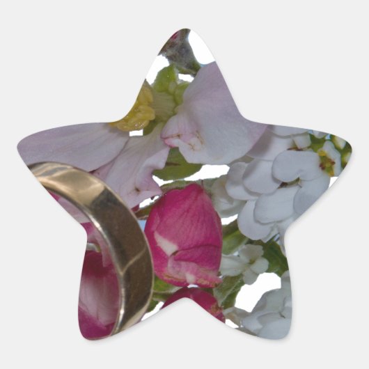 挨拶 – 応援 星シール (正面)