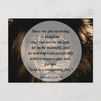 振り回すことのできない王国 ポストカード