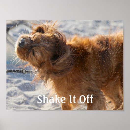 振り払う ポスター (正面)