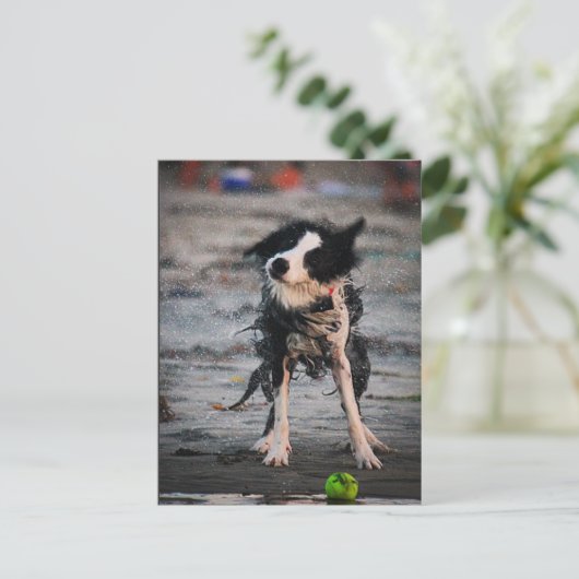 振り払え! ポストカード (スタンド正面)