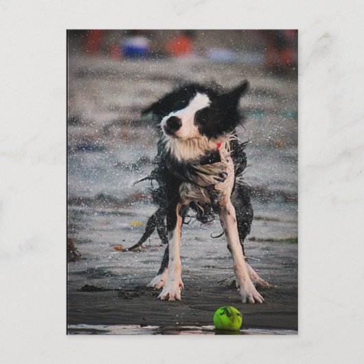 振り払え! ポストカード (正面)