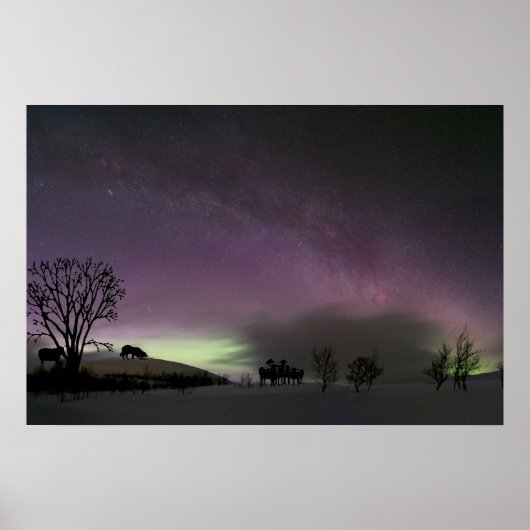 「振り返ってくれ」 コリー縁どポスター ポスター (正面)