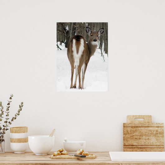 振り返って鹿 ポスター (キッチン)