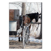 振り返って (正面)