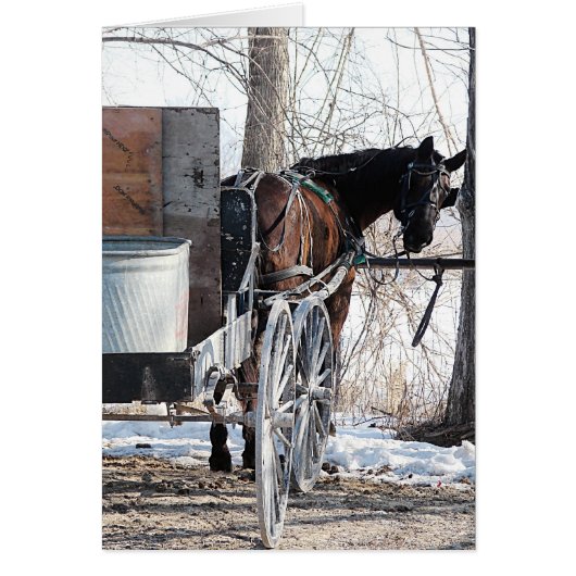 振り返って (正面)