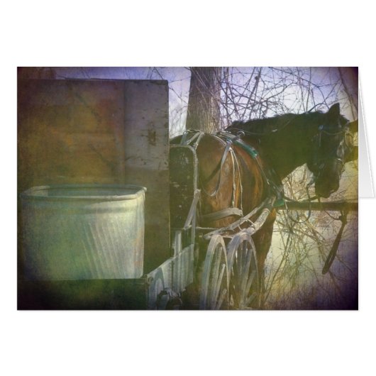 振り返って (正面横)