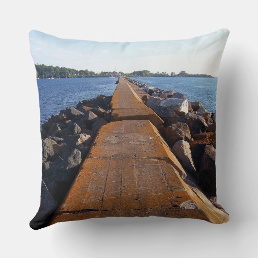 振り返って クッション (裏面)