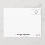 振り返って ポストカード (裏面)