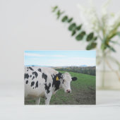 振り返らない ポストカード (スタンド正面)