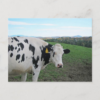 振り返らない ポストカード