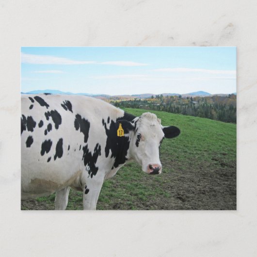 振り返らない ポストカード (正面)