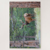 振り返るワンエルク |ロッキー山脈 ジグソーパズル (縦)