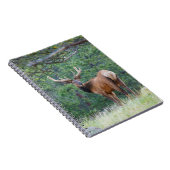 振り返るワンエルク |ロッキー山脈 ノートブック (右側)